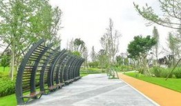 成都公园爆料视频下载大全,一窥城市绿肺的活力瞬间